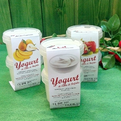 Yogurt alla fragola di Bufala Piemontese Km Ø