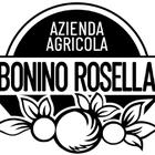 Azienda agricola Bonino Rossella