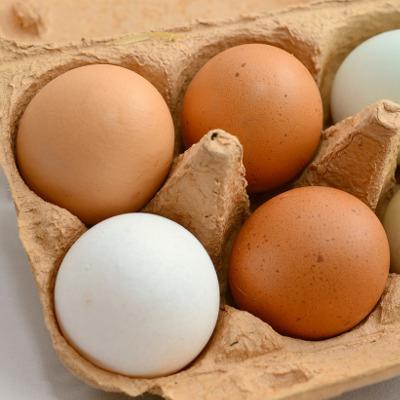 6 Uova da galline allevate al Pascolo