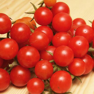 Pomodorini Ciliegino bio *