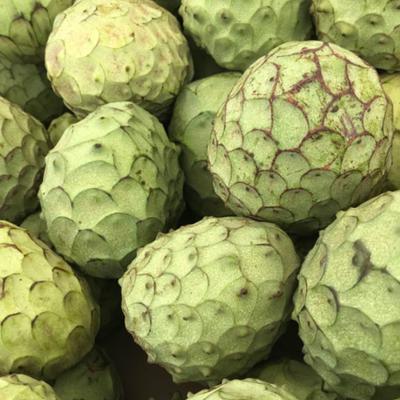 Annona bio Sicilia 