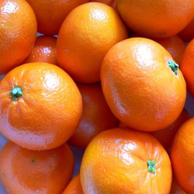 Clementine Bio