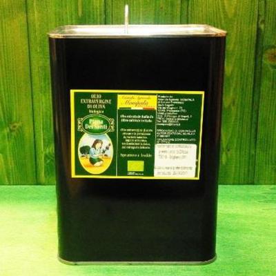 Olio di oliva extravergine biologico 