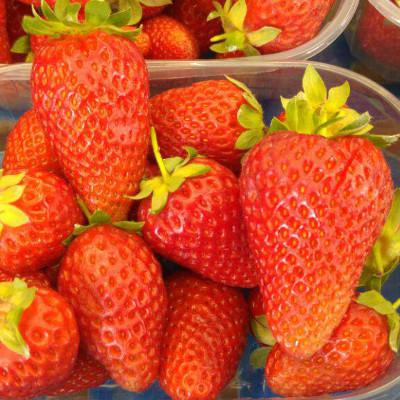Fragole  vaschetta da 500 g bio