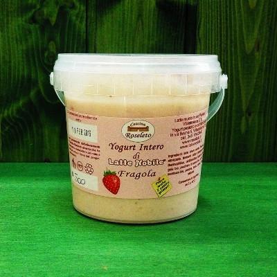 Yogurt di latte nobile vaccino alla nocciola gr 150