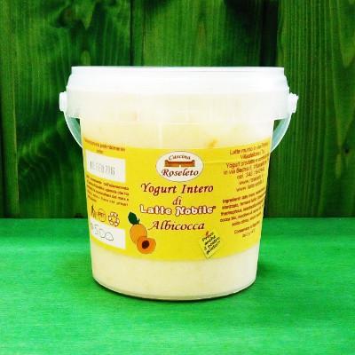 Yogurt di latte nobile vaccino alla frutta 500 gr su ordinazione