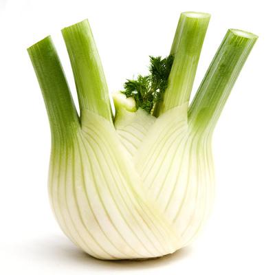 Finocchi bio