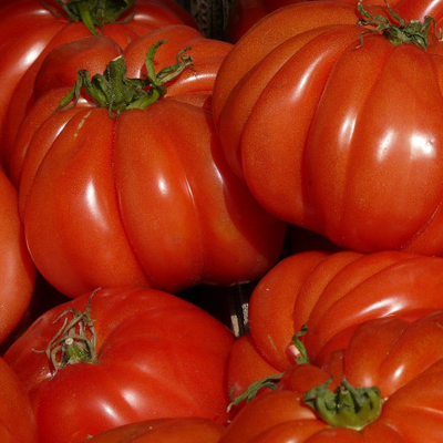 Pomodori Cuore di Bue bio*
