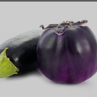 Melanzane  bio