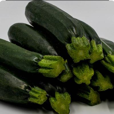 Zucchine  scure bio